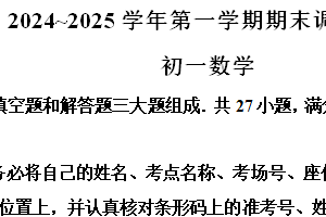 江苏省苏州市苏州工业园区2024-2025学年上学期七年级数学期末调研试卷（含解析）