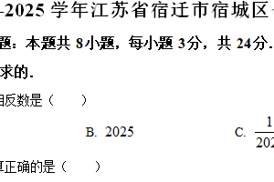 江苏省宿迁市宿城区2024-2025学年七年级上学期期末数学试卷（含解析）