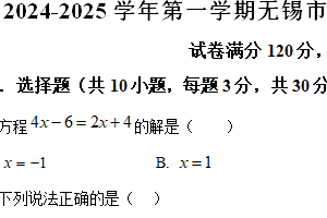 江苏省无锡市天一中学2024-2025学年上学期七年级数学期末模拟考试（含解析）