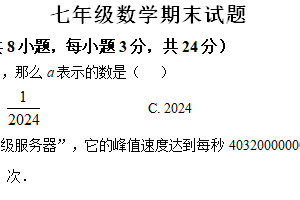 江苏省徐州市沛县五中联盟学区2024-2025学年七年级上学期1月期末数学试题（含解析）