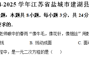 江苏省盐城市建湖县2024-2025学年七年级上学期期末数学试卷（含解析）