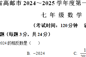 江苏省扬州市高邮市2024-2025学年学期七年级数学期末试卷（含解析）