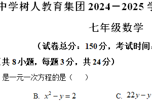 江苏省扬州市树人集团2024-2025学年上学期七年级数学期末试卷（含解析）