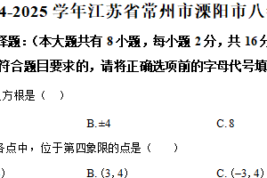 江苏省常州市溧阳市2024-2025学年八年级上学期期末数学试卷（含解析）