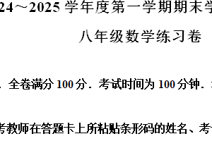 江苏省南京市联合体2024—2025学年上学期期末学情分析样题八年级数学练习卷（含解析）