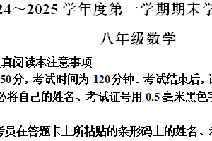 江苏省南通市海安市2024-2025学年八年级上学期1月期末考试数学试题（含解析）