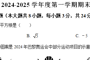 江苏省宿迁市沭阳县2024-2025学年上学期八年级数学期末阶段测试卷（含解析）