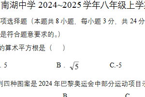 江苏省宿迁市沭阳县南湖中学2024_2025学年八年级上学期数学期末考试试卷（含答案）