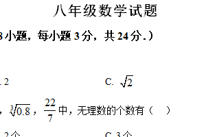 江苏省宿迁市泗洪县2024-2025学年八年级上学期1月期末数学试题（含解析）
