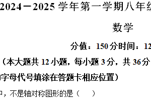 江苏省宿迁市泗阳县2024-2025学年八年级上学期期末考试数学试卷（含解析）