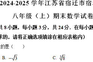 江苏省宿迁市宿城区2024-2025学年八年级上学期1月期末考试数学试题（含解析）