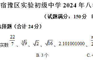 江苏省宿迁市宿豫区实验初级中学2024–2025学年八年级上册数学期末模拟测试题（含解析）