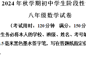 江苏省泰州市兴化市2024-2025学年八年级上学期期末数学试题（含解析）