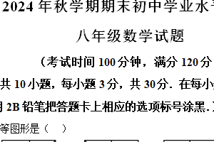 江苏省无锡市侨谊实验中学2024—2025学年上学期八年级数学期末抽测试卷（含解析）