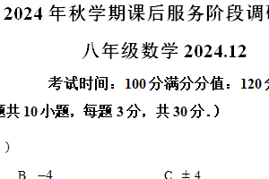 江苏省无锡市天一中学2024-2025学年八年级上学期数学期末模拟调研试卷（含解析）