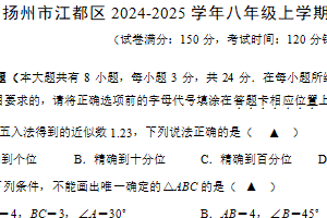 江苏省扬州市江都区2024-2025学年八年级上学期数学期末试卷（含答案）