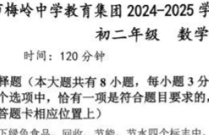 江苏省扬州市梅岭中学教育集团2024-2025学年上学期八年级期末数学试卷（含答案）