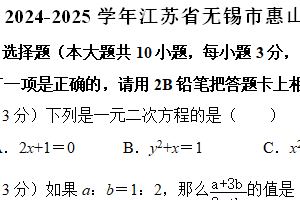 江苏省无锡市惠山区2024-2025学年九年级上学期期末考试数学试题（含解析）