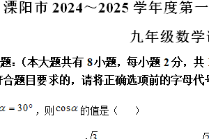江苏省常州市溧阳市2024-2025学年九年级上学期1月期末数学试题（含解析）