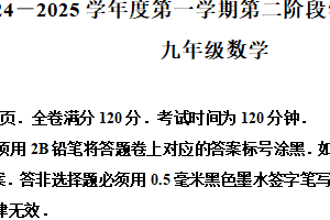 江苏省南京市秦淮区2024—2025学年九年级上学期期末考试数学试卷（含解析）