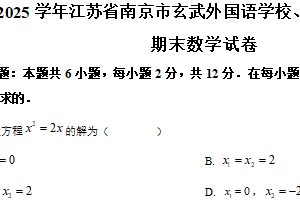 江苏省南京市玄武外国语学校、科利华中学2024-2025学年九年级上学期期末考试数学试卷（含解析）