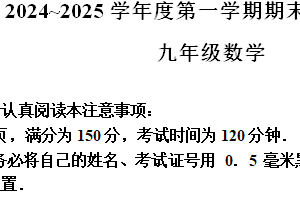 江苏省南通市如东县2024-2025学年九年级上学期1月期末考试数学试卷（含解析）