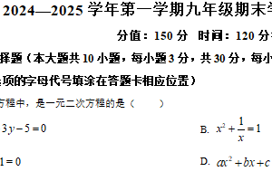 江苏省宿迁市泗阳县 2024-2025学年九年级上学期期末考试数学试卷（含解析）