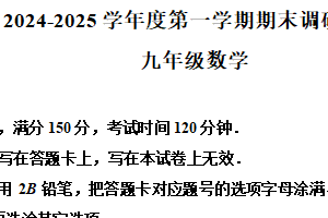 江苏省宿迁市宿城区2024-2025学年九年级上学期1月期末考试数学试题（含解析）
