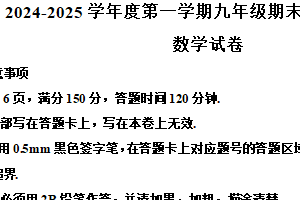 江苏省宿迁市宿城区新区教学共同体2024-2025学年九年级上学期1月期末数学试题（含解析）