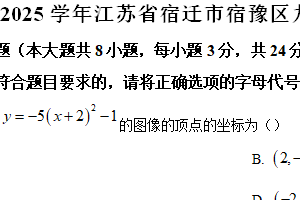 江苏省宿迁市宿豫区2024-2025学年九年级上学期期末数学试卷（含解析）