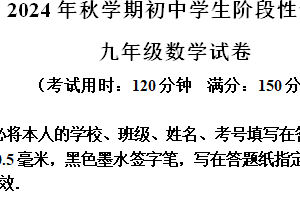 江苏省泰州市兴化市2024-2025学年九年级上学期期末数学试题（含解析）