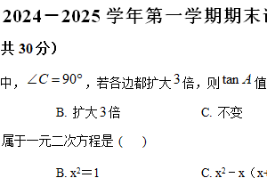 江苏省无锡市梁溪区2024-2025学年九年级上学期期末联考数学试题（含解析）