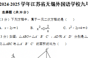 江苏省无锡市梁溪区无锡外国语学校2024-2025学年九年级上学期1月期末考试数学试卷（含答案）