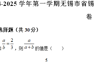 江苏省无锡市省锡中实验学校2024-2025学年九年级上学期数学期末模拟试卷（含解析）