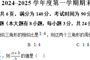 江苏省徐州市2024-2025学年九年级上学期1月期末考试数学试题（含解析）