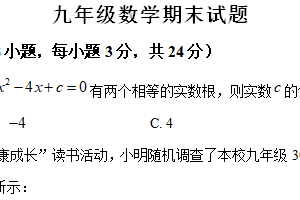 江苏省徐州市沛县五中联盟学区2024-2025学年九年级上学期1月期末数学试题（含解析）