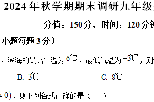 江苏省盐城市大丰区2024-2025学年九年级上学期期末数学试题（含解析）