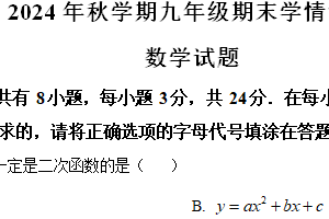 江苏省盐城市阜宁县2024-2025学年九年级上学期1月期末数学试题（含解析）
