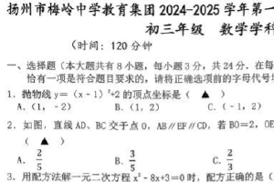 江苏省扬州市梅岭中学教育集团2024-2025学年九年级上学期期末数学试卷（含答案）