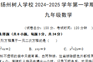 江苏省扬州市扬州树人学校2024-2025学年九年级上学期期末考试数学试卷（含答案）