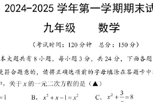 江苏省扬州市仪征市2024-2025学年九年级上学期1月期末数学试题（含答案）