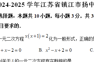 江苏省镇江市扬中市2024-2025学年九年级上学期期末数学试卷（含解析）