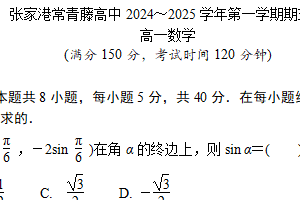 江苏省苏州市张家港市常青藤实验学校2024-2025学年高一上学期期末考试数学试卷（含解析）
