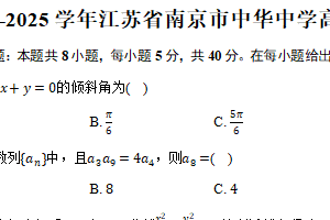 2024-2025学年江苏省南京市中华中学高二（上）期末数学试卷（含答案）