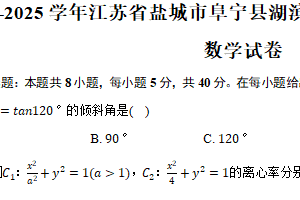 2024-2025学年江苏省盐城市阜宁县湖滨高级中学高二（上）期末数学试卷（含答案）