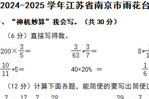 江苏省南京市雨花台区2024-2025学年六年级上学期期末数学试卷（含解析）