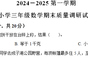 2024-2025学年江苏省宿迁市泗阳县苏教版三年级上册期末考试数学试卷（含解析）