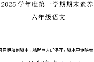 2024-2025学年江苏省徐州市丰县统编版六年级上册期末考试语文试卷（含解析）