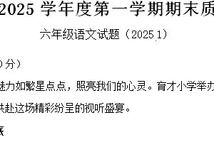 2024-2025学年江苏省徐州市沛县统编版六年级上册期末考试语文试卷（含解析）