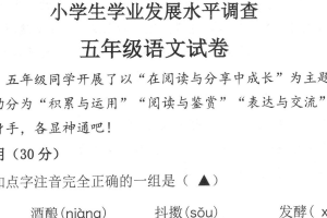 江苏省连云港市灌云县2024-2025学年五年级上学期期末语文试题（含答案）